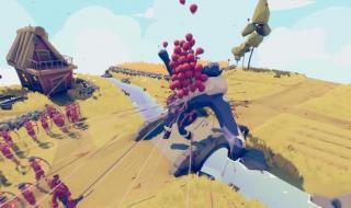 男子放风筝被带上天