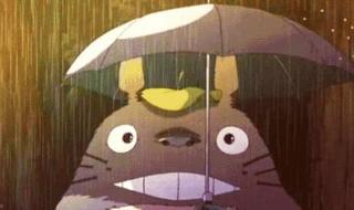 蚊子不会被雨水砸死 蚊子不会被雨水砸死